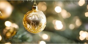What's on at The Frocester this Christmas