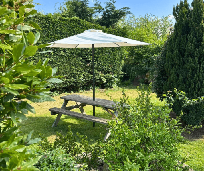 Teddy - pretty garden